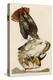 Red-Tailed Hawk-John James Audubon-Premier Image Canvas