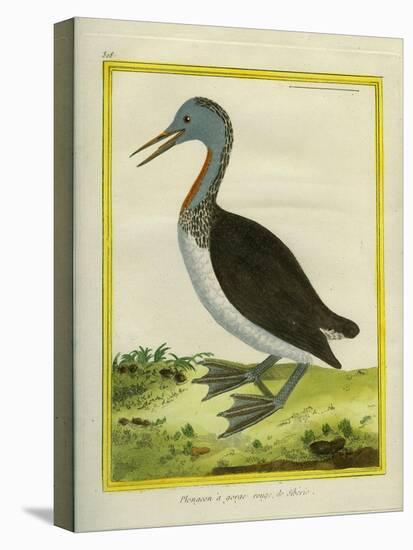 Red-Throated Diver-Georges-Louis Buffon-Premier Image Canvas