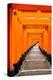 Red Torii Gates, Fushimi Inari Taisha Shrine, Kyoto, Kansai Region, Honshu, Japan, Asia-Gavin Hellier-Premier Image Canvas