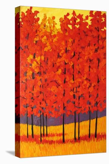 Red Tree Forest-Patty Baker-Stretched Canvas