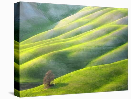 Red Tree-Marcin Sobas-Premier Image Canvas