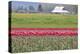 Red Tulip Barn-Dana Styber-Premier Image Canvas