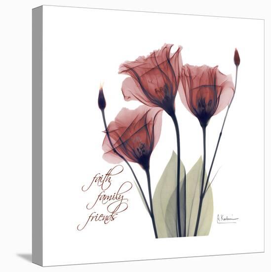 Red Tulip Faith-Albert Koetsier-Stretched Canvas