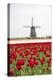 Red Tulip Fields Frame the Windmill in Spring, Berkmeer, Koggenland, North Holland, Netherlands-Roberto Moiola-Premier Image Canvas