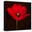 Red Tulip I-Christine Zalewski-Stretched Canvas