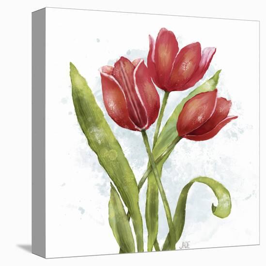 Red Tulip Splash II-Jade Reynolds-Stretched Canvas