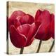 Red Tulips (detail)-Cynthia Ann-Stretched Canvas