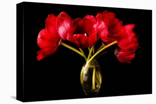 Red Tulips in a Glass Vase-Christine Zalewski-Stretched Canvas