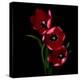 Red Tulips-Magda Indigo-Premier Image Canvas