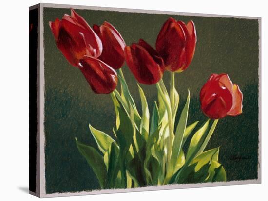 Red Tulips-Helen J. Vaughn-Premier Image Canvas