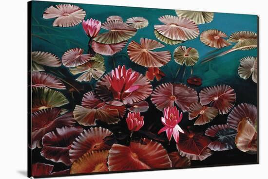 Red Water Lilies-Pamela Jablonski-Stretched Canvas