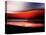 Red Wave-Josh Adamski-Premier Image Canvas