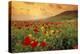 Red Wild Poppies in Galilee-Richard T. Nowitz-Premier Image Canvas