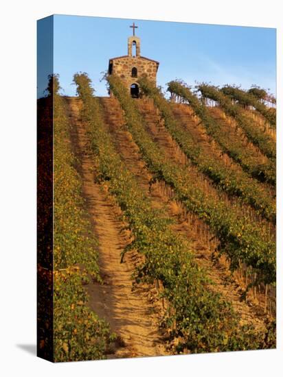 Red Willow Vineyard with Stone Chapel, Yakima County, Washington, USA-Jamie & Judy Wild-Premier Image Canvas