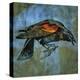 Red Wing Blackbird No. 1-John Golden-Stretched Canvas