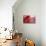 RED-Antje Wenner-Braun-Premier Image Canvas displayed on a wall