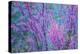 Redbud River Abstract-Vincent James-Premier Image Canvas