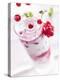 Redcurrants Falling into a Layered Yogurt Dessert-Daniel Reiter-Premier Image Canvas