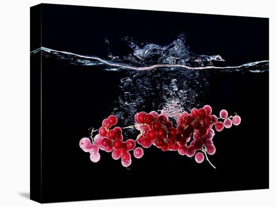 Redcurrants Falling into Water-Hermann Mock-Premier Image Canvas