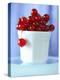 Redcurrants in a Small Pot-Franck Bichon-Premier Image Canvas