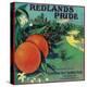 Redlands Pride Orange Label - Redlands, CA-Lantern Press-Stretched Canvas