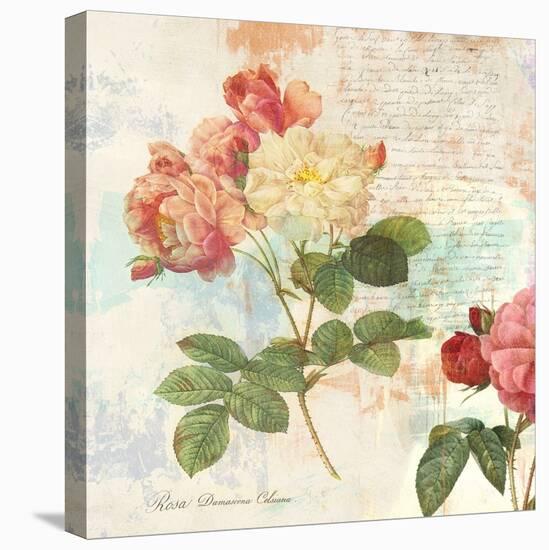 Redoute's Roses 2.0 I-Eric Chestier-Stretched Canvas