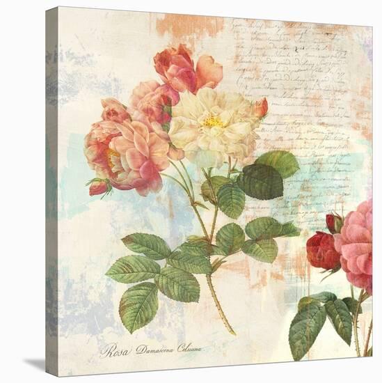 Redoute's Roses 2.0 I-Eric Chestier-Stretched Canvas