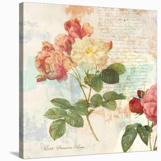Redoute's Roses 2.0 I-Eric Chestier-Stretched Canvas