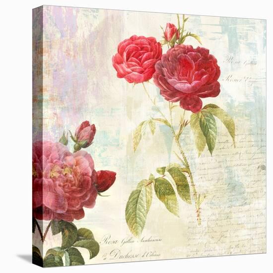 Redoute's Roses 2.0 II-Eric Chestier-Stretched Canvas