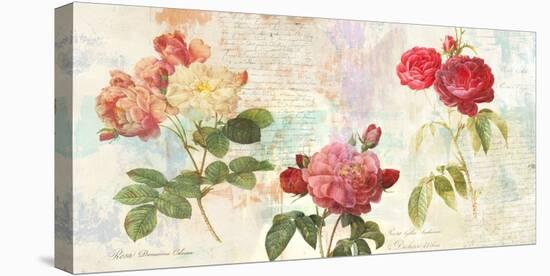 Redoute's Roses 2.0-Eric Chestier-Stretched Canvas