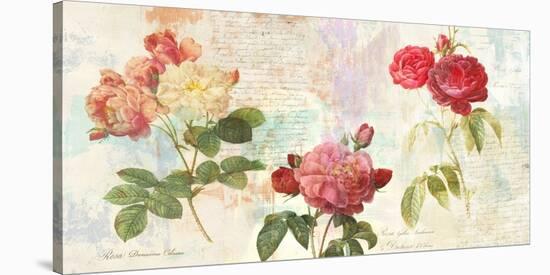 Redoute's Roses 2.0-Eric Chestier-Stretched Canvas