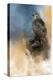 Redtail in Winter-Jai Johnson-Premier Image Canvas