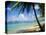 Reduit Beach, St. Lucia, West Indies-John Miller-Premier Image Canvas