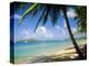 Reduit Beach, St. Lucia, West Indies-John Miller-Premier Image Canvas