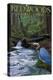 Redwoods State Park - Heron and Waterfall-Lantern Press-Stretched Canvas