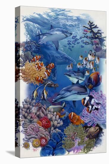 Reef-Tim Knepp-Premier Image Canvas