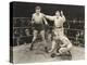 Referee Counting over Boxer in Ring-null-Stretched Canvas