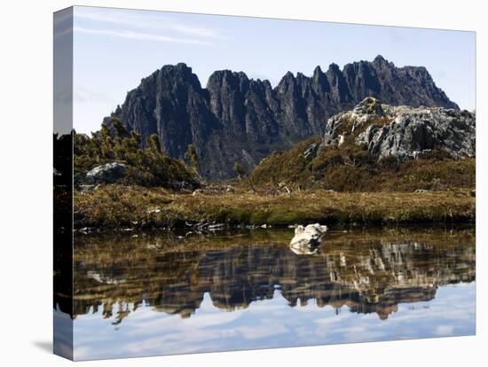 Reflected in Tarn on 'Cradle Mountain - Lake St Clair National Park', Tasmania, Australia-Christian Kober-Premier Image Canvas