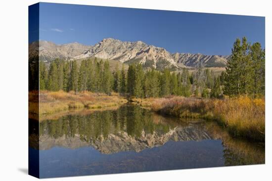 Reflection, Big Wood River, Autumn, Sawtooth NF,  Idaho, USA-Michel Hersen-Premier Image Canvas