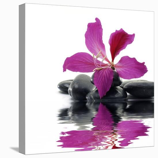 Reflection for Black Pebbles with Beauty Red Flower-crystalfoto-Premier Image Canvas