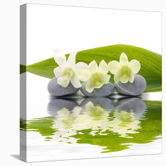 Reflection for Zen Stones and Orchid ,Green Leaf-Apollofoto-Premier Image Canvas