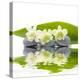 Reflection for Zen Stones and Orchid ,Green Leaf-Apollofoto-Premier Image Canvas