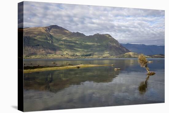 Reflection in Lake Wanaka, Wanaka, Otago, South Island, New Zealand, Pacific-Stuart Black-Premier Image Canvas