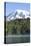 Reflection Lake. Mt. Rainier National Park, WA-Justin Bailie-Premier Image Canvas