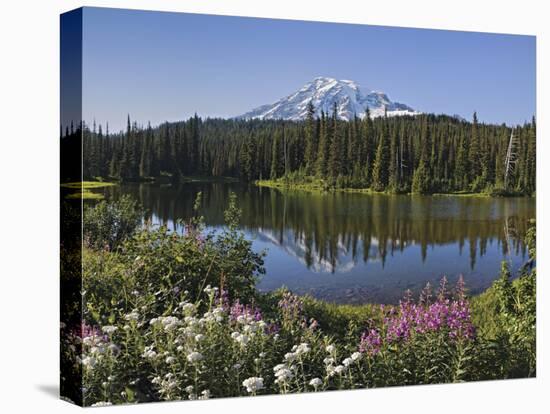Reflection of Mountain and Trees in Lake, Mt Rainier National Park, Washington State, USA-null-Premier Image Canvas