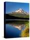 Reflection of mountain range in a lake, Mt Hood, Trillium Lake, Mt Hood National Forest, Clackam...-null-Premier Image Canvas