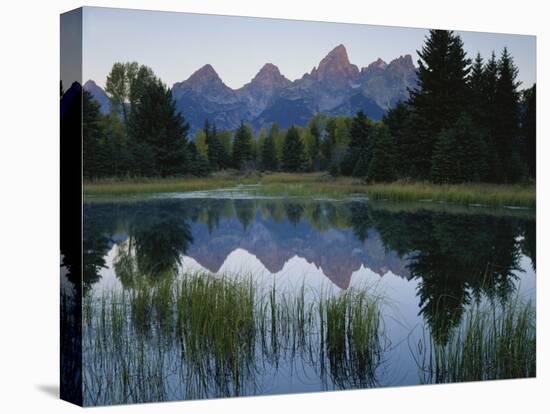 Reflection of Mountains in River, Schwabacher's Landing, Grand Teton National Park, Wyoming, USA-Scott T^ Smith-Premier Image Canvas