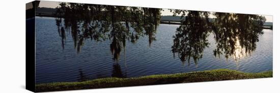 Reflection of Tree in a River, Middleton Place, Charleston, Charleston County, South Carolina, USA-null-Premier Image Canvas