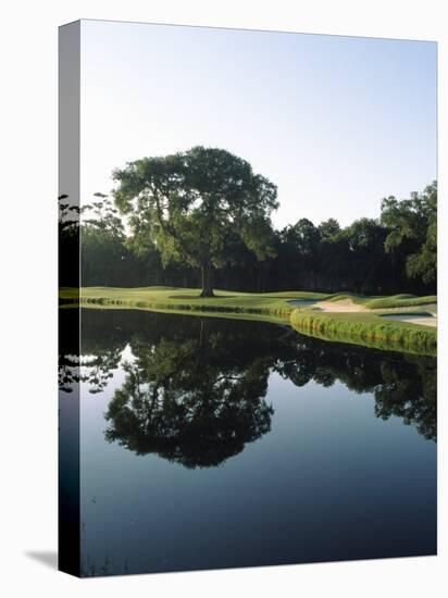 Reflection of Trees in a Lake, Kiawah Island Golf Resort, Kiawah Island, Charleston County-null-Premier Image Canvas