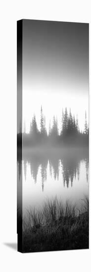 Reflection of Trees in a Lake, Mt Rainier, Mt Rainier National Park, Pierce County-null-Stretched Canvas